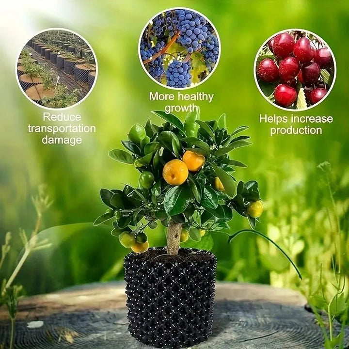BowLift | Root control device for plants and landscaping to promote healthy growth