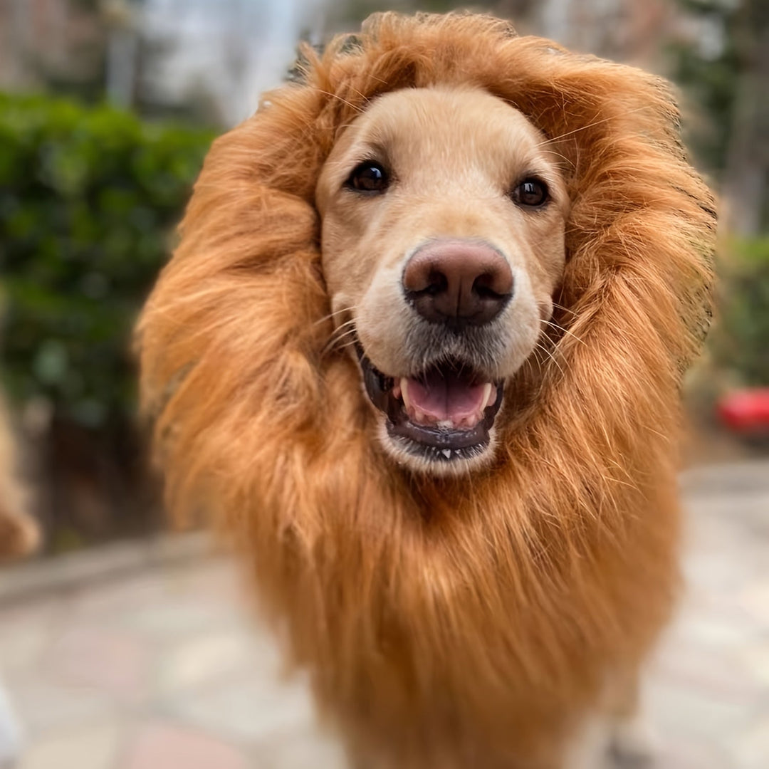 BowLift | Dog Realistic Lion Mane Halloween Costume | Adjustable Lightweight