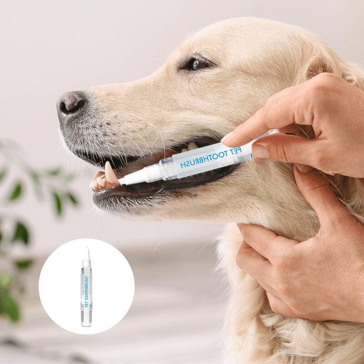 BowLift | New Improved Pet Toothbrush Pen