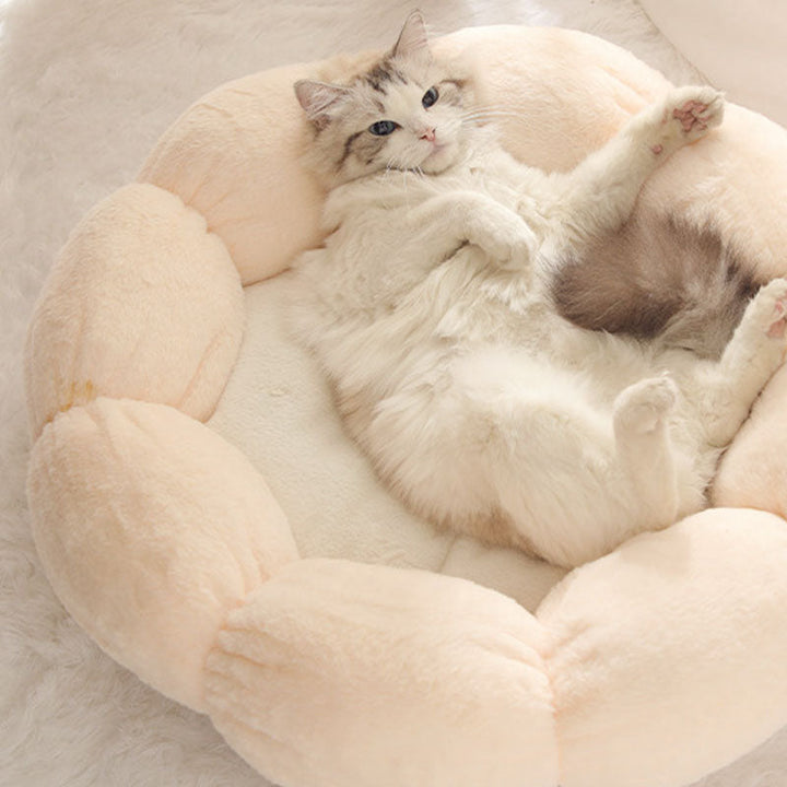 BowLift | Deep Sleep Flower Shape Cat Bed