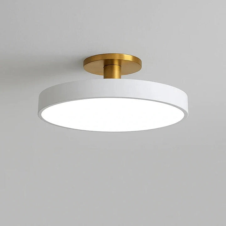 BowLift | Modern LED Ceiling Light with Flush Mount Design for Interior Spaces