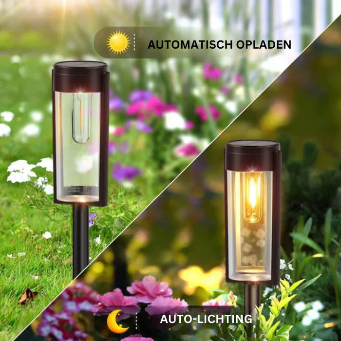 Luxury Solar-Powered Path Lighting for Garden Bowlift