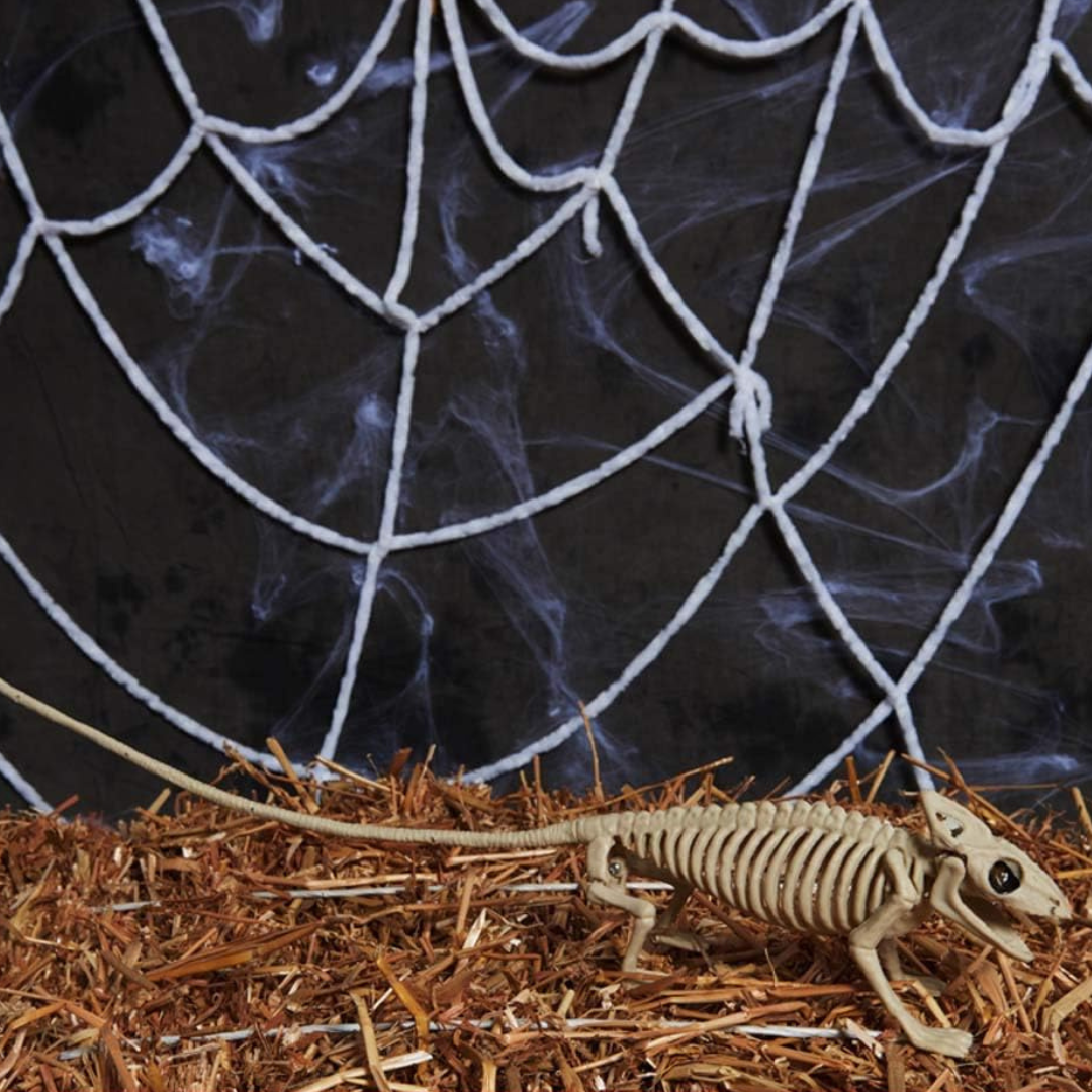 BowLift | Wall Art Hanging Skeleton Bat Ornament