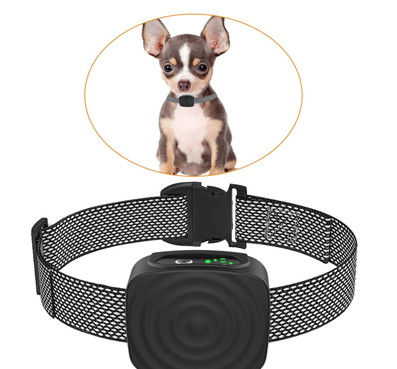 BowLift | Dog Collar Anti Bark for Small Dogs