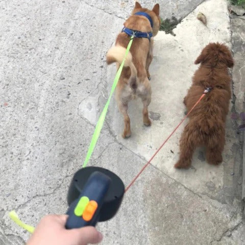 BowLift | TangleFree Dual Dog Leash with LED Light & 360° Swivel