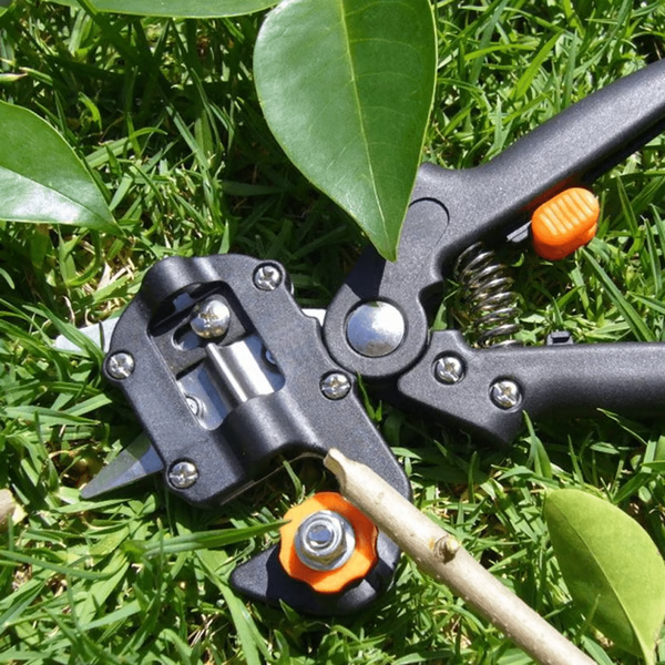 BowLift | Professional Grafting & Pruning Tool