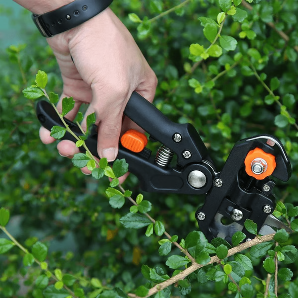BowLift | Professional Grafting & Pruning Tool