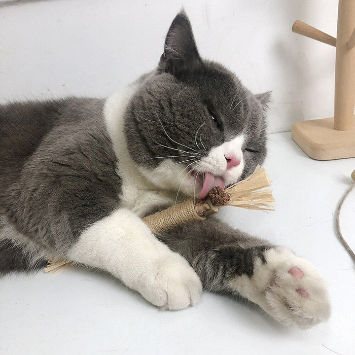 Interactive Chew Sticks for Cats - ChewPlay Bowlift