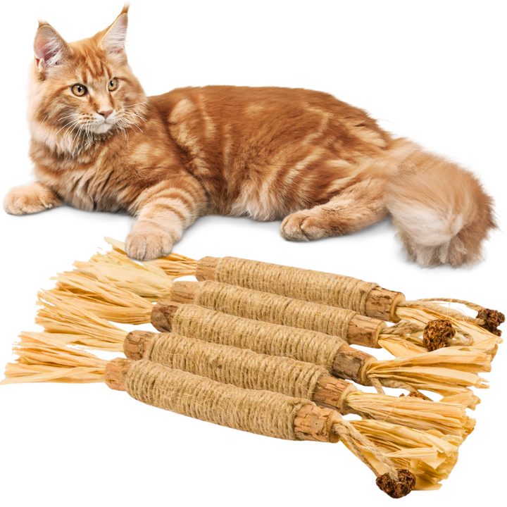 Interactive Chew Sticks for Cats - ChewPlay Bowlift