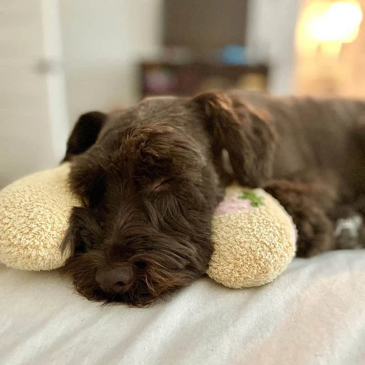 CozyPaws Cushion for Dogs - RelaxPad Bowlift