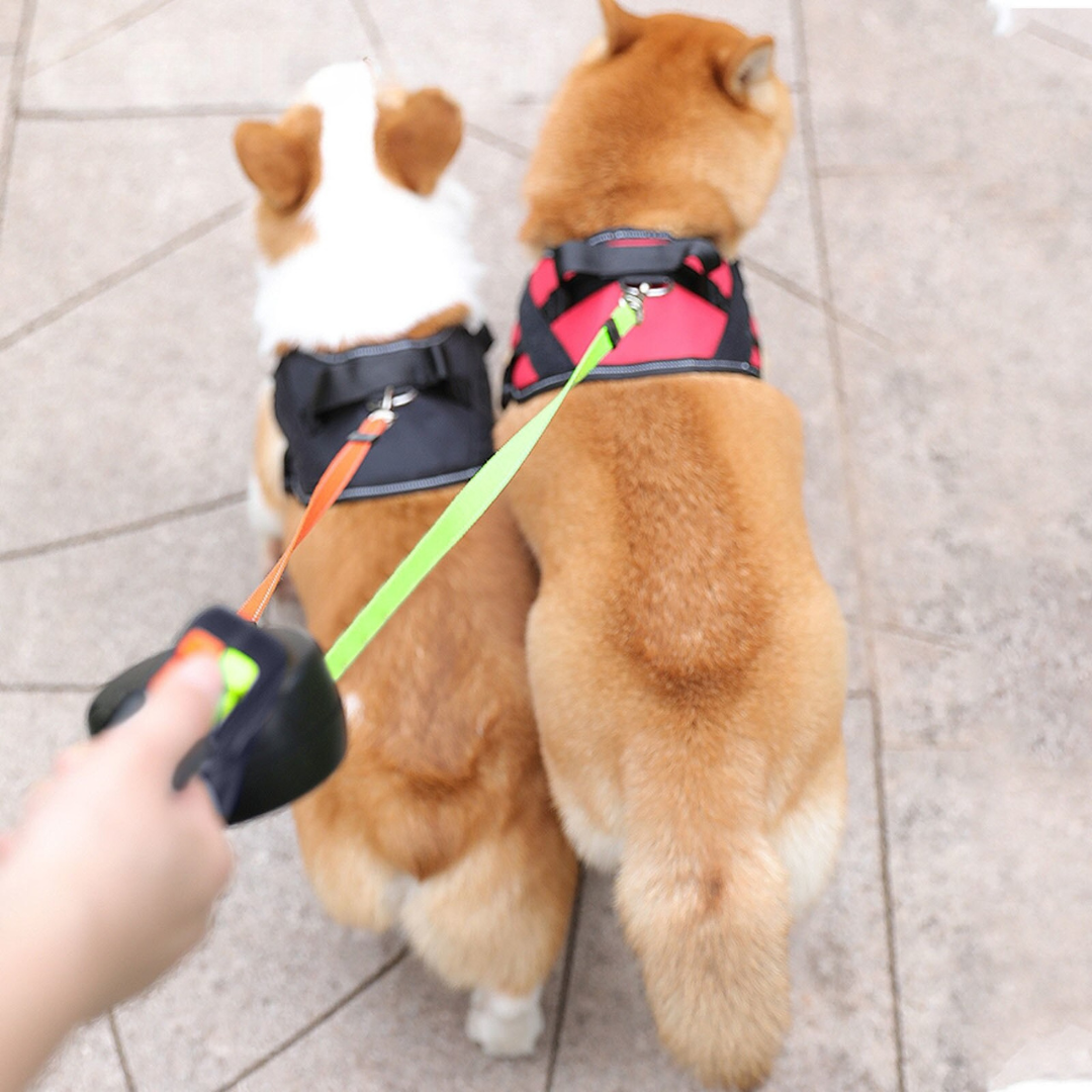 Tangle Free Dual Dog Leash Bowlift