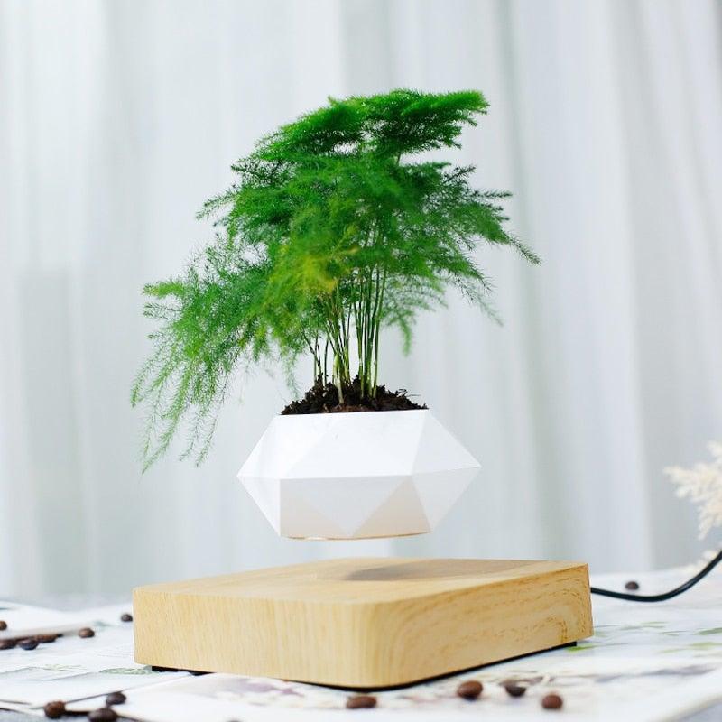 BowLift | Floating Air Bonsai Pot