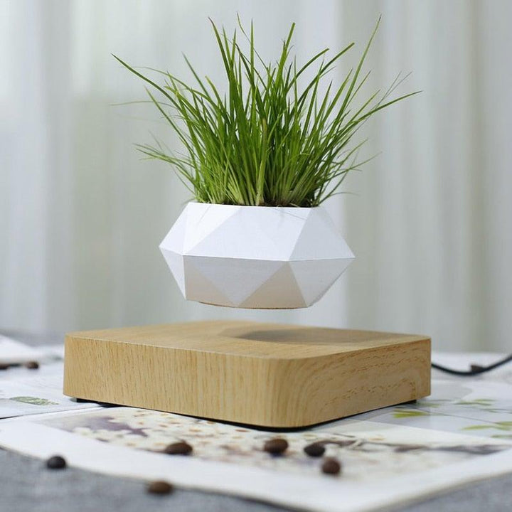 BowLift | Floating Air Bonsai Pot