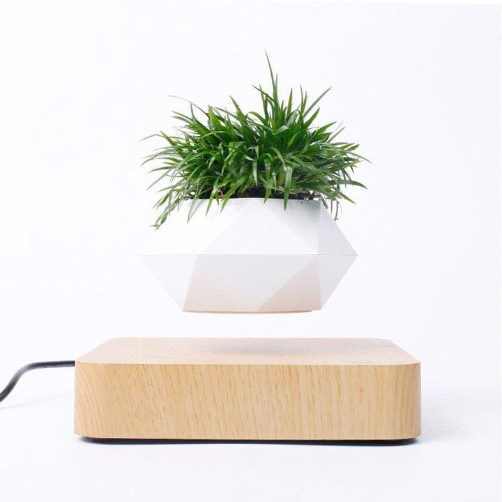 BowLift | Floating Air Bonsai Pot