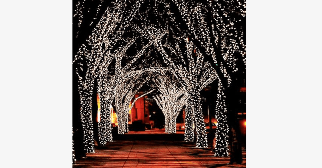 BowLift | LED Fairy Lights – Decorate with stylish lights!