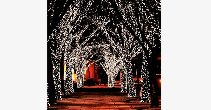 BowLift | LED Fairy Lights – Decorate with stylish lights!