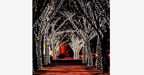BowLift | LED Fairy Lights – Decorate with stylish lights!