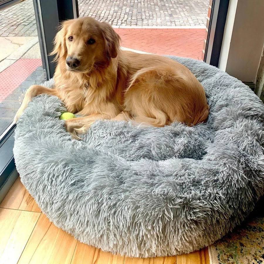 BowLift | Orthopedic Plush Donut Dog Bed