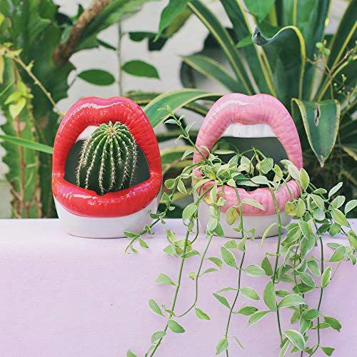 BowLift | Lips Flower Pot
