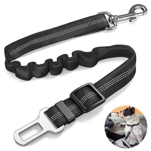 BowLift | Elastic dog safety belt