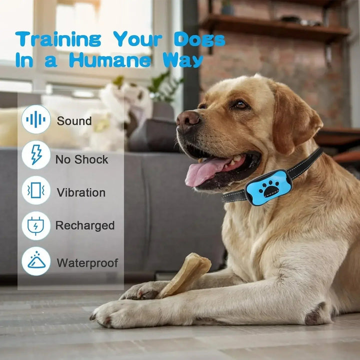 Anti Barking Device USB Rechargeable Bowlift