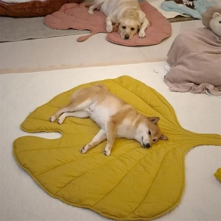 Chill Paw Mat Bowlift