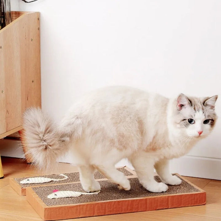 Cat Cardboard Mat Scraper Bowlift