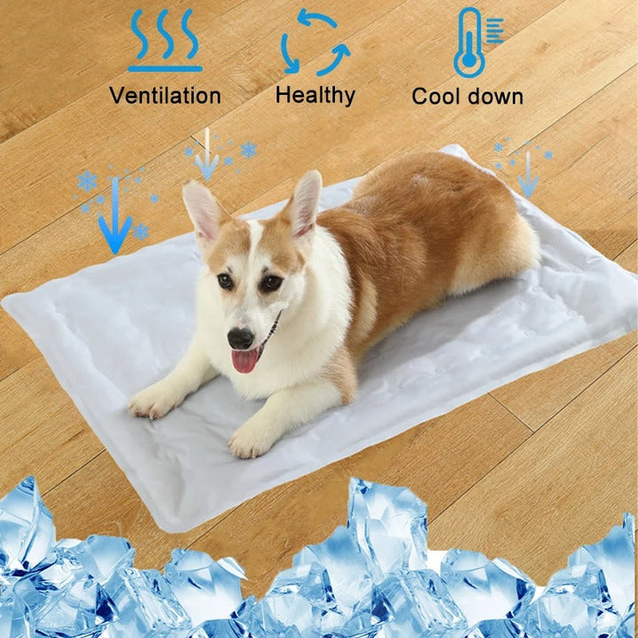 Dog Cooling Mat Bowlift