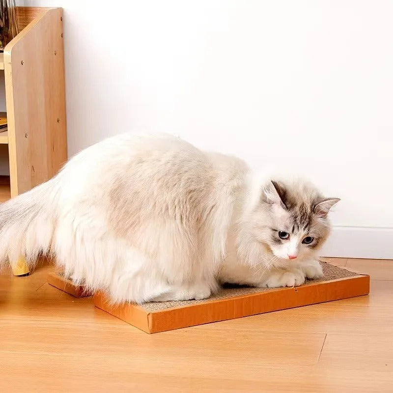Cat Cardboard Mat Scraper Bowlift
