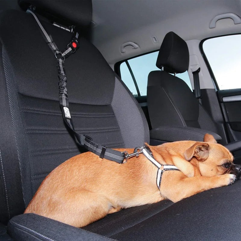 Dog Car Seat Belt Bowlift
