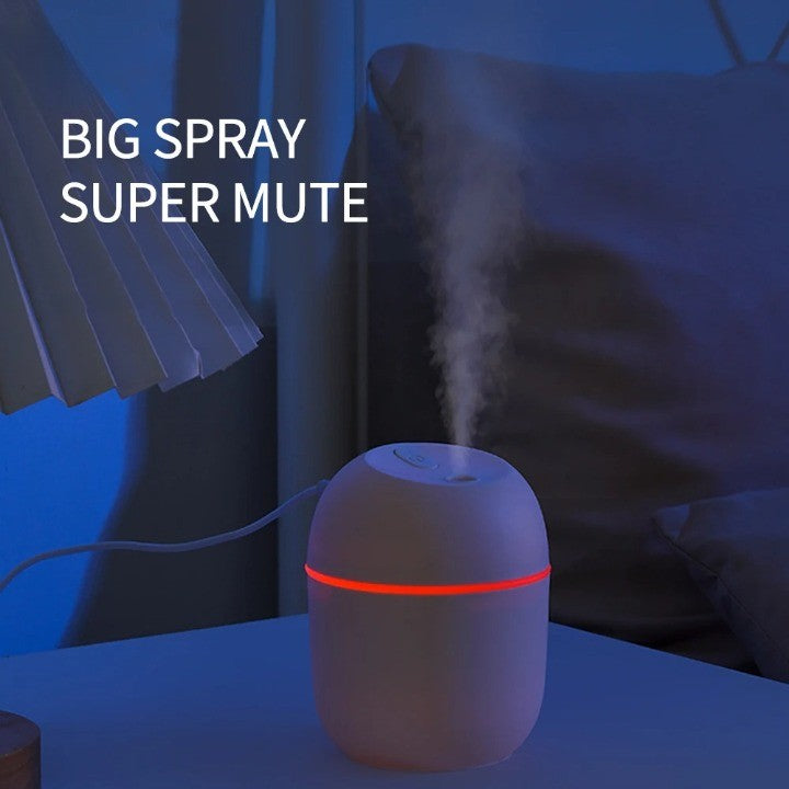 BowLift | Egg Shape Nano Portable Mist Humidifier