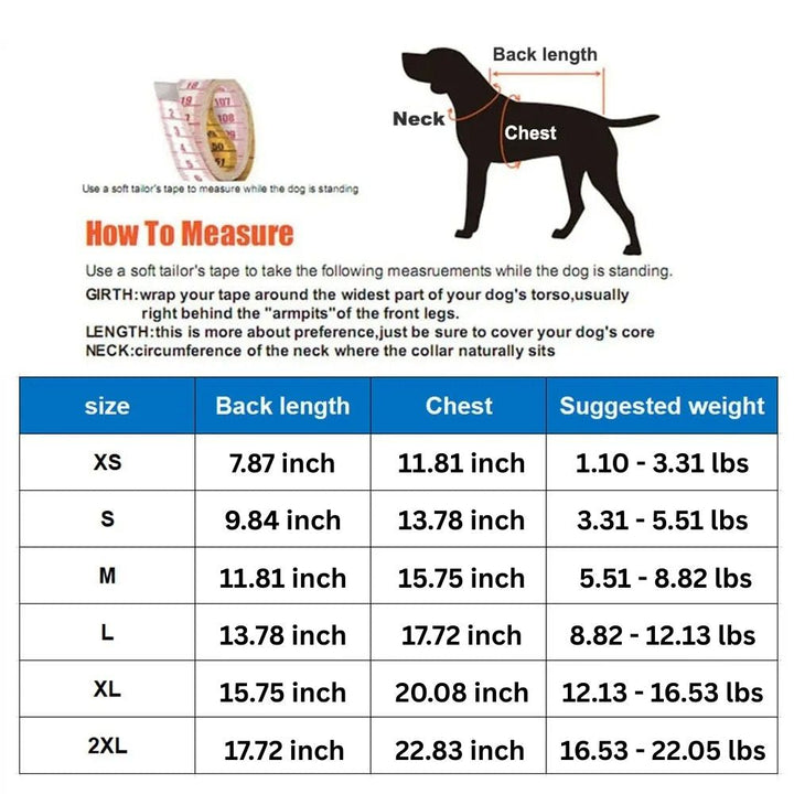 BowLift | Adorable Bear-Themed Full Body Dog Raincoat with Reflective Safety Features