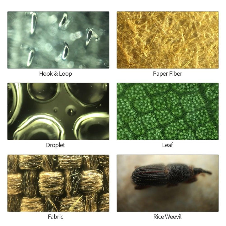BowLift | Mobile Phone Microscope