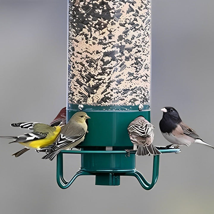 BowLift | NUTRIGUARD – Squirrel-Proof Bird Feeder with Weight Control