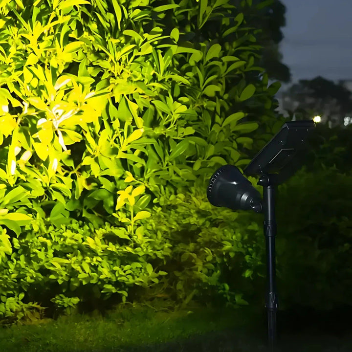 BowLift | Solar Garden Light with Waterproof Spike Mount