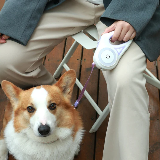 BowLift | LED Light Retractable Dog Leash with Light