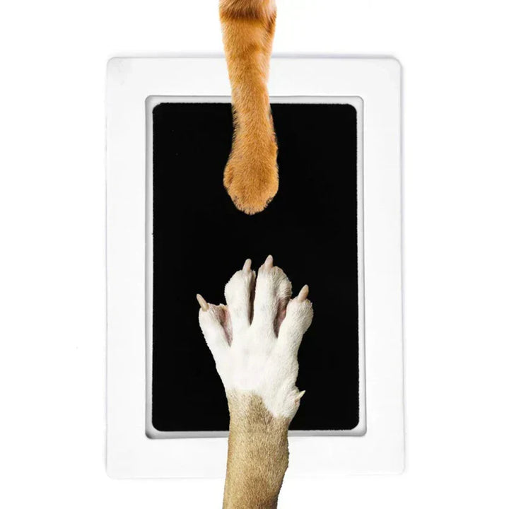 Paw Print Set - PawPrint Keepsake Bowlift