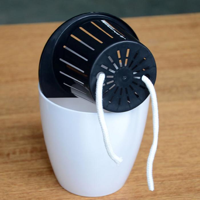 InstanWater - Self Watering Hanging Planter | Bowlift