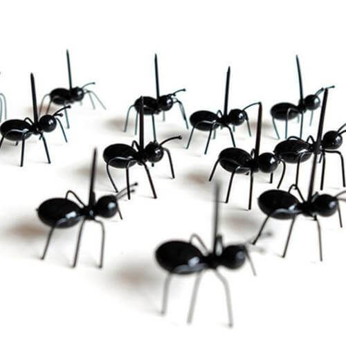 BowLift | 12Pcs Ants Food Fruit Holder