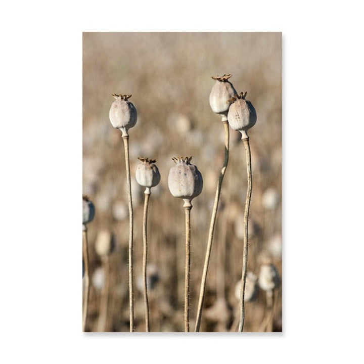 Modern Dried Flowers - Canvas Wall Art Painting | Bowlift