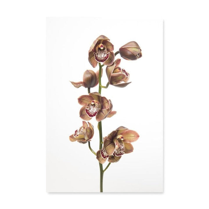 Modern Dried Flowers - Canvas Wall Art Painting | Bowlift