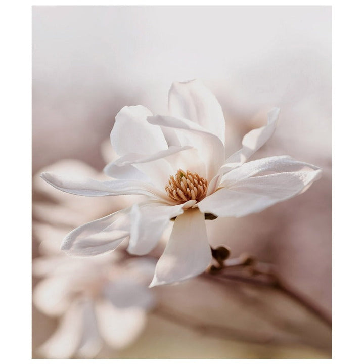 Modern Pink Floral Sketch Plants - Canvas Wall Art Painting | Bowlift