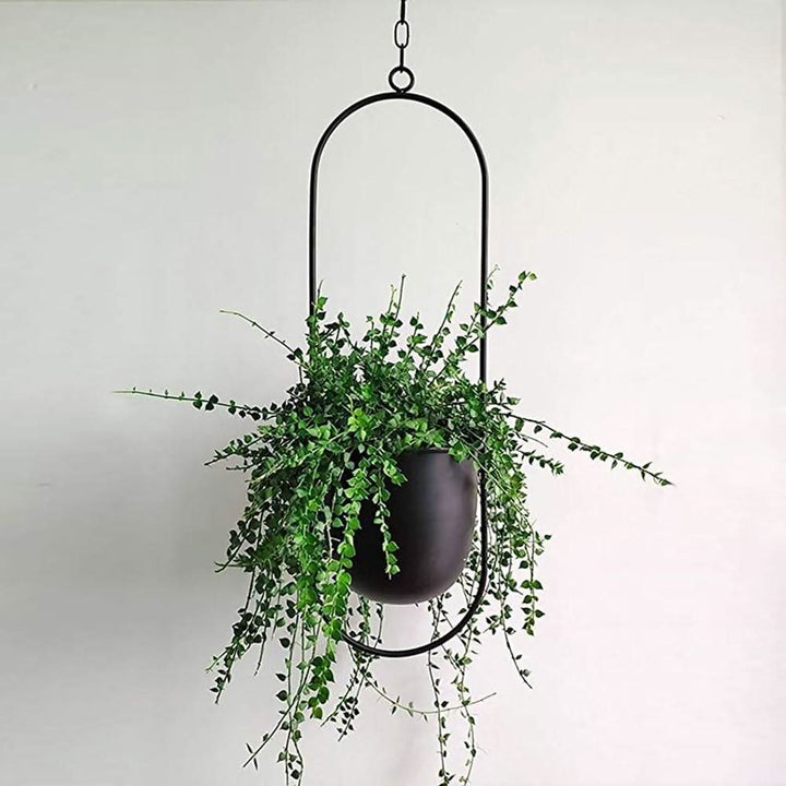 BowLift | Wall Hanging Metal Plant Holder – FloraFrame