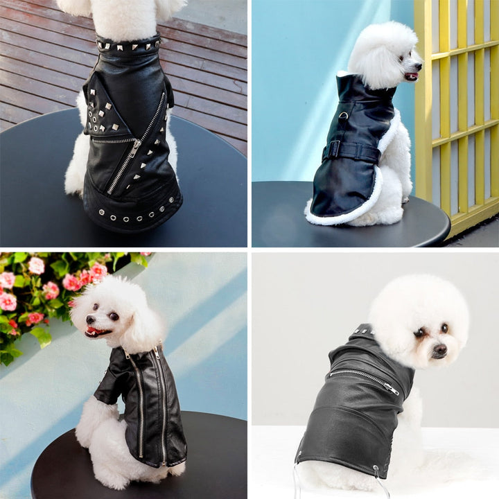 BowLift | Cool Cute Leather Pet Jacket