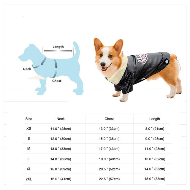 BowLift | Cool Cute Leather Pet Jacket