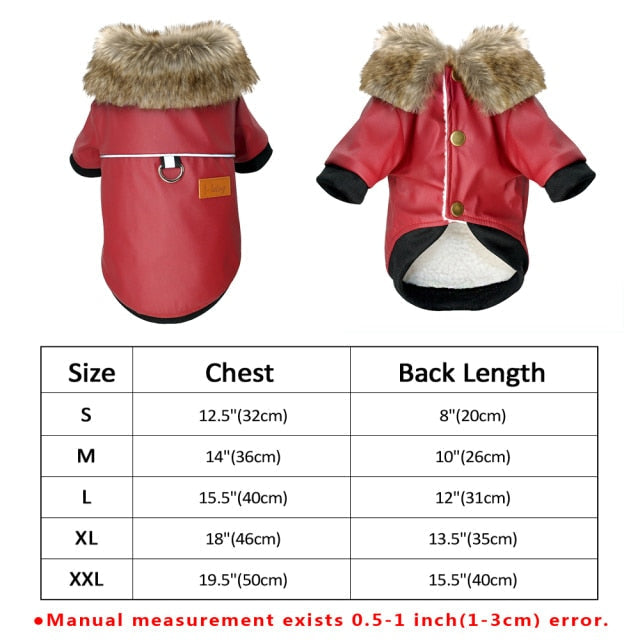 BowLift | Cool Cute Leather Pet Jacket