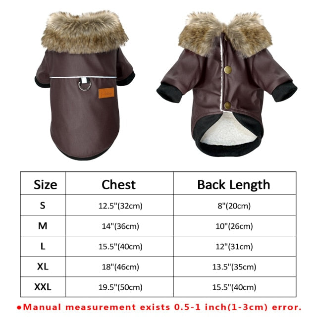 BowLift | Cool Cute Leather Pet Jacket