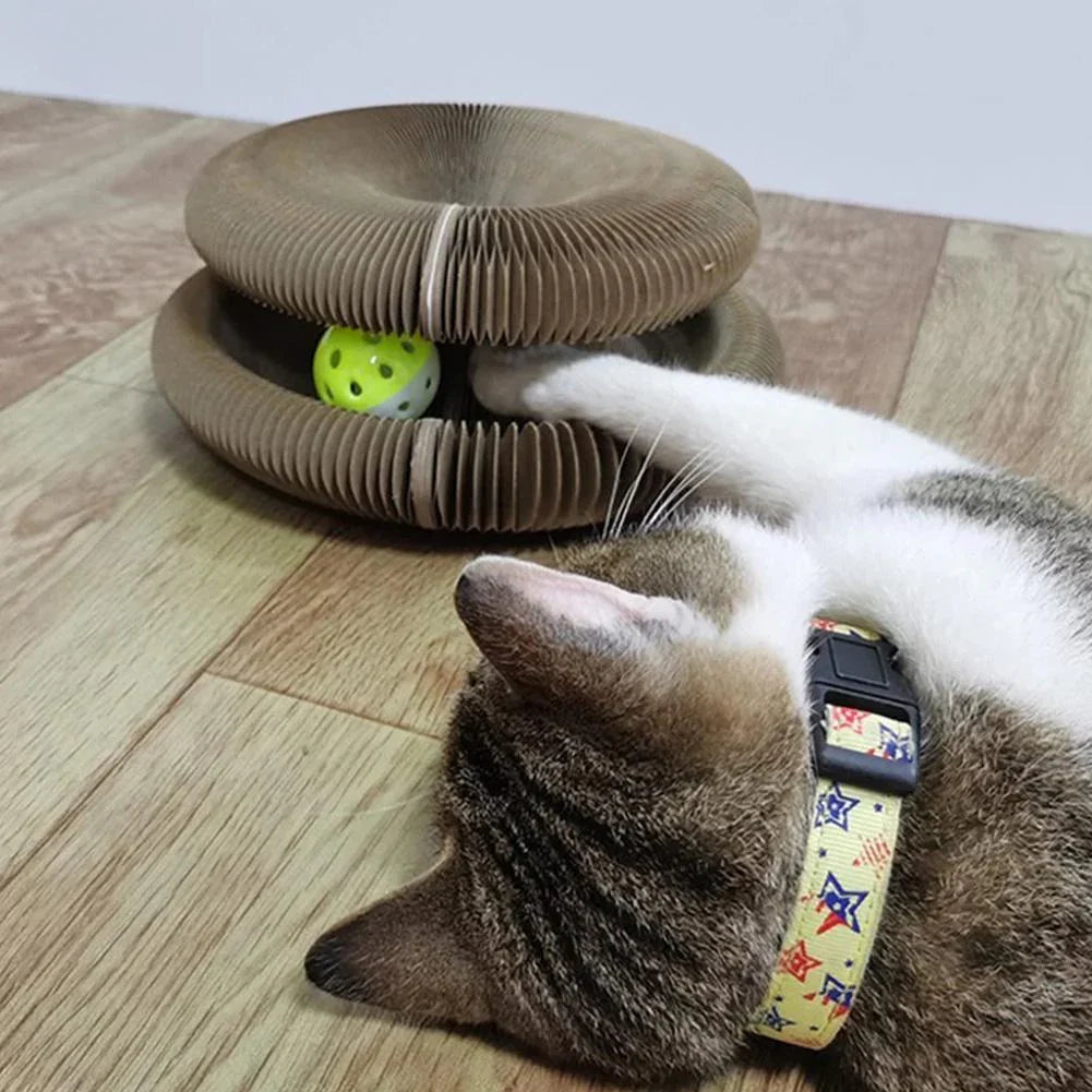 Active Fun for Your Cat – PurrPlay Bowlift