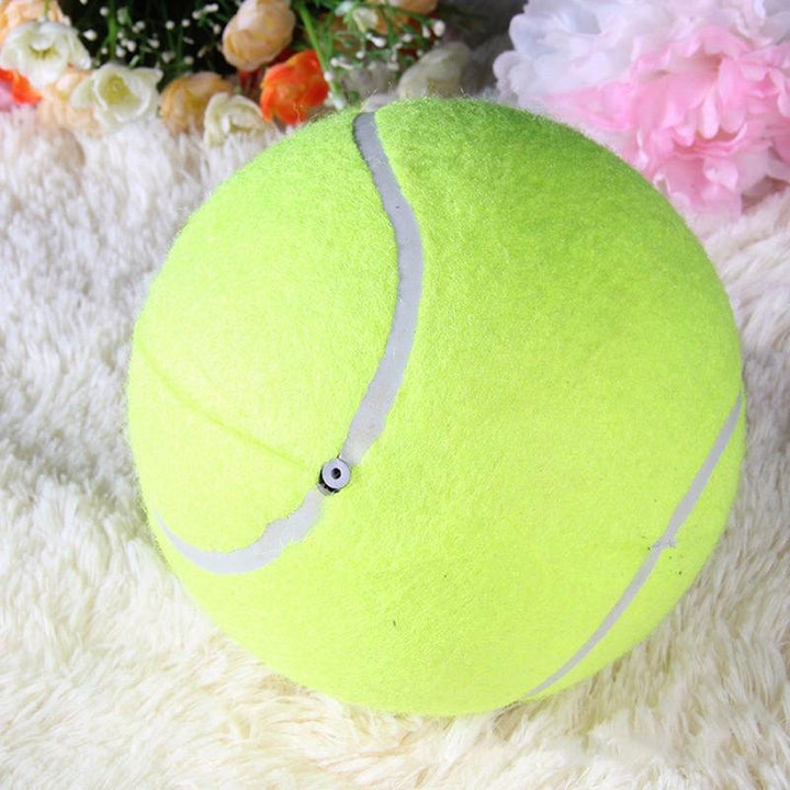 The Giant Tennis Ball | Bowlift