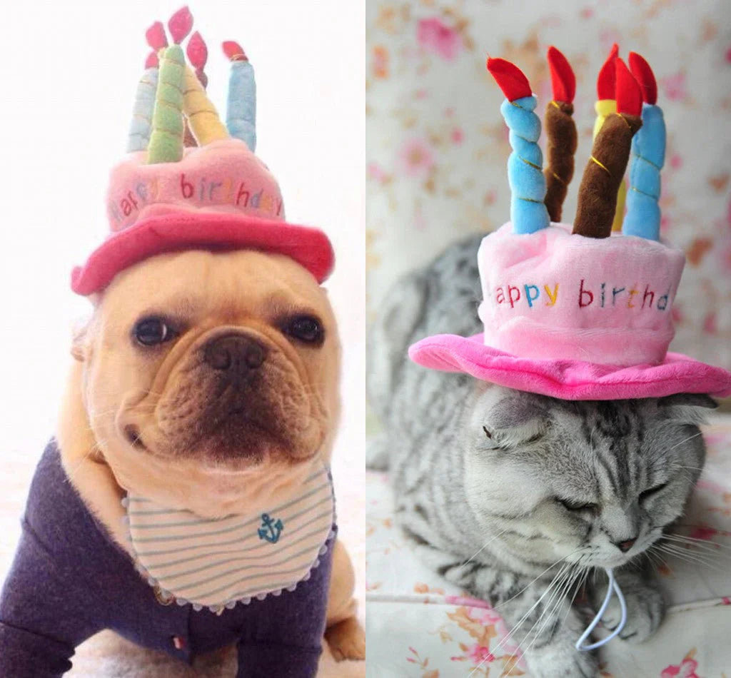 Pet Birthday Hat – PartyPaws Bowlift